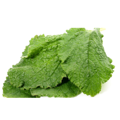 ورق لسان ( شرحه)