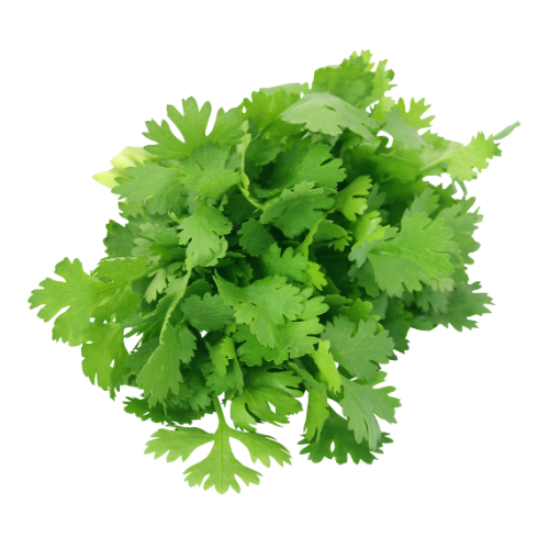 كزبرة ( 30 ضمه)